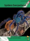 Red Rocket Readers : Advanced Fluency 2 Non-Fiction Set A: Spiders Everywhere! - Book