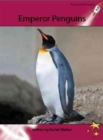 Red Rocket Readers : Advanced Fluency 3 Non-Fiction Set A: Emperor Penguins - Book