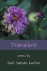 Transient - Book