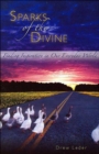Sparks of the Divine - Book