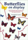 Butterflies on Display - Book