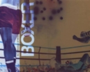 Boxer : An Anthology of Writings on Boxing and Visual Culture - Book