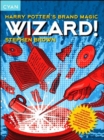 Wizard! : Harry Potter's Brand Magic - Book