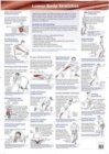 Lower Body Stretches - Book