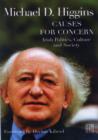 Causes for Concern : Irish Politics, Culture and Society - Book