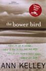 The Bower Bird - Book