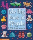 My Big Book of Words - Book