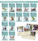 Phonic Books Dandelion Readers Vowel Spellings Level 4 : Alternative vowel and consonant spellings, and Latin suffixes - Book