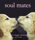 soul Mates - eBook
