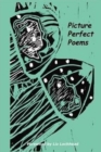 Picture Perfect Poems - Book