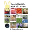 Jacob Rabbit's Book of Colour - Book