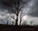 In the Face of Silence - Book