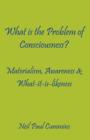 What is the Problem of Consciousness? : Materialism, Awareness & What-it-is-likeness - Book