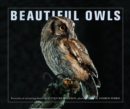 Beautiful Owls : Portraits of Arresting Species from Around the World - Book
