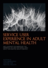 Firesetting and Mental Health - Book