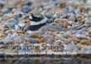 Rings in the Shingle : Images and Poems from the Norfolk Coast - Book