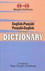 English-Punjabi & Punjabi-English One-to-One Dictionary. Exam Suitable: Script & Roman - Book