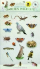 Garden Wildlife - Book