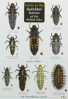 Guide to the Ladybird Larvae of the British Isles - Book