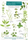 Guide to Ancient Woodland Indicator Plants - Book