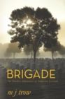 Brigade : The Further Adventures of Inspector Lestrade - Book