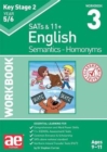 KS2 Semantics Year 5/6 Workbook 3 - Homonyms - Book