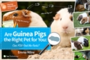 Are Guinea Pigs the Right Pet for You: Can You Find the Facts? - Book