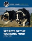 Secrets Of The Working Mind - Book