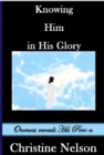 Knowing Him in His Glory: Oneness Reveals His Person - eBook