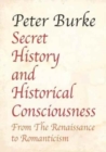 Secret History and Historical Consciousness From Renaissance to Romantic - Book