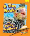 Whose Little Baby Are You? A Tiny Beak and Spiky Feathers - Book