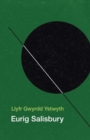 Llyfr Gwyrdd Ystwyth - Book