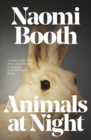Animals at Night - Book