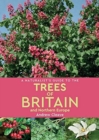 A Naturalist's Guide to the Trees of Britain and Northern Europe (2nd edition) - Book