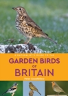 A Naturalist's Guide to the Garden Birds of Britain (2nd edition) - Book