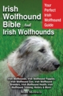 Irish Wolfhound Bible And Irish Wolfhounds : Your Perfect Irish Wolfhound Guide Irish Wolfhounds, Irish Wolfhound Puppies, Irish Wolfhound Size, Irish Wolfhound Breeders, Irish Wolfhound Health, Irish - Book