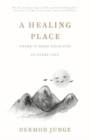 A Healing Place - Book