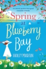 Spring at Blueberry Bay : Large Print edition - Book
