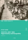 America, 1920-1973 : Opportunity and Inequality - Book
