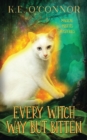Every Witch Way but Bitten - Book