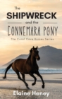 The Shipwreck and the Connemara Pony - The Coral Cove Horses Series - Book