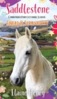 Saddlestone Connemara Pony Listening School | Sinead and Strawberry - Book