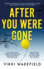 After You Were Gone : An unputdownable new psychological thriller with a shocking twist - Book