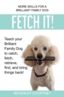 Fetch It! : Teach your Brilliant Family Dog to catch then fetch, retrieve, find, and bring things back - Book