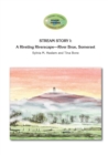Stream Story I : A Riveting Riverscape-River Brue, Somerset: River Friend Series Book 2 - Book
