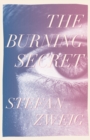 The Burning Secret - Book