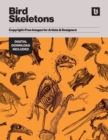 Bird Skeletons : Copyright-Free Images for Artists & Designers - Book