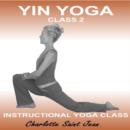 Yin Yoga Class 2 - eAudiobook
