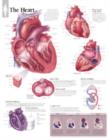 Heart Paper Poster - Book