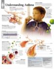 Understanding Asthma Paper Poster - Book